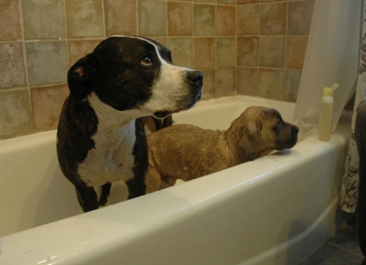 Ickis' first bath